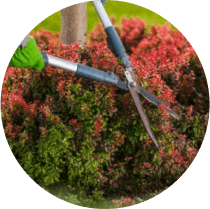 Gartenpflege