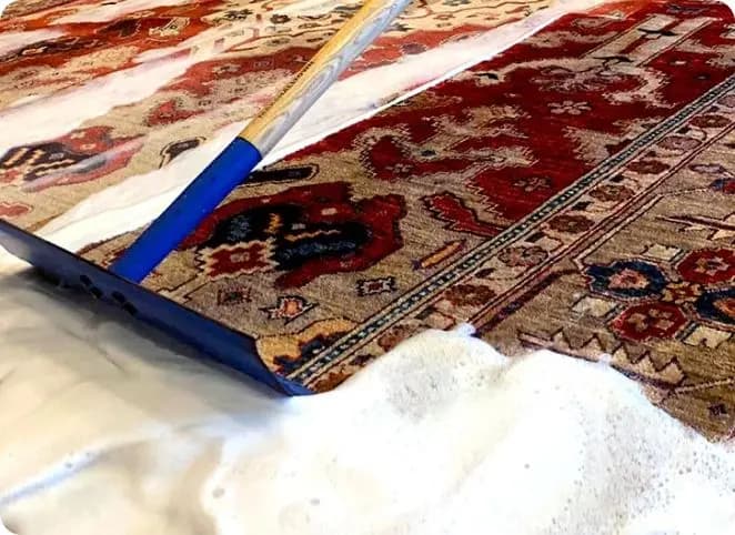 Geruchsbeseitigung Teppich in Aachen